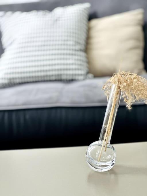 Apartament Studio Green Velvet Laon Zewnętrze zdjęcie